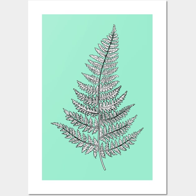 Botanical Fern Drawing Wall Art by SWON Design